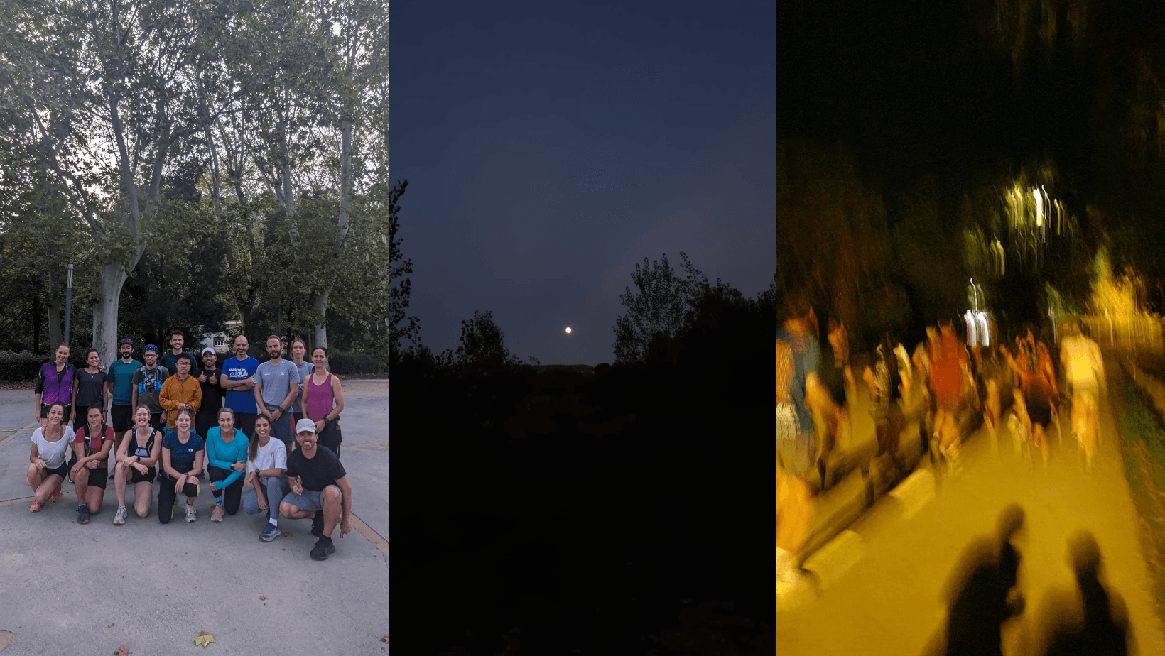 🌙 NARC Dark (Night Run) - 5km cover image