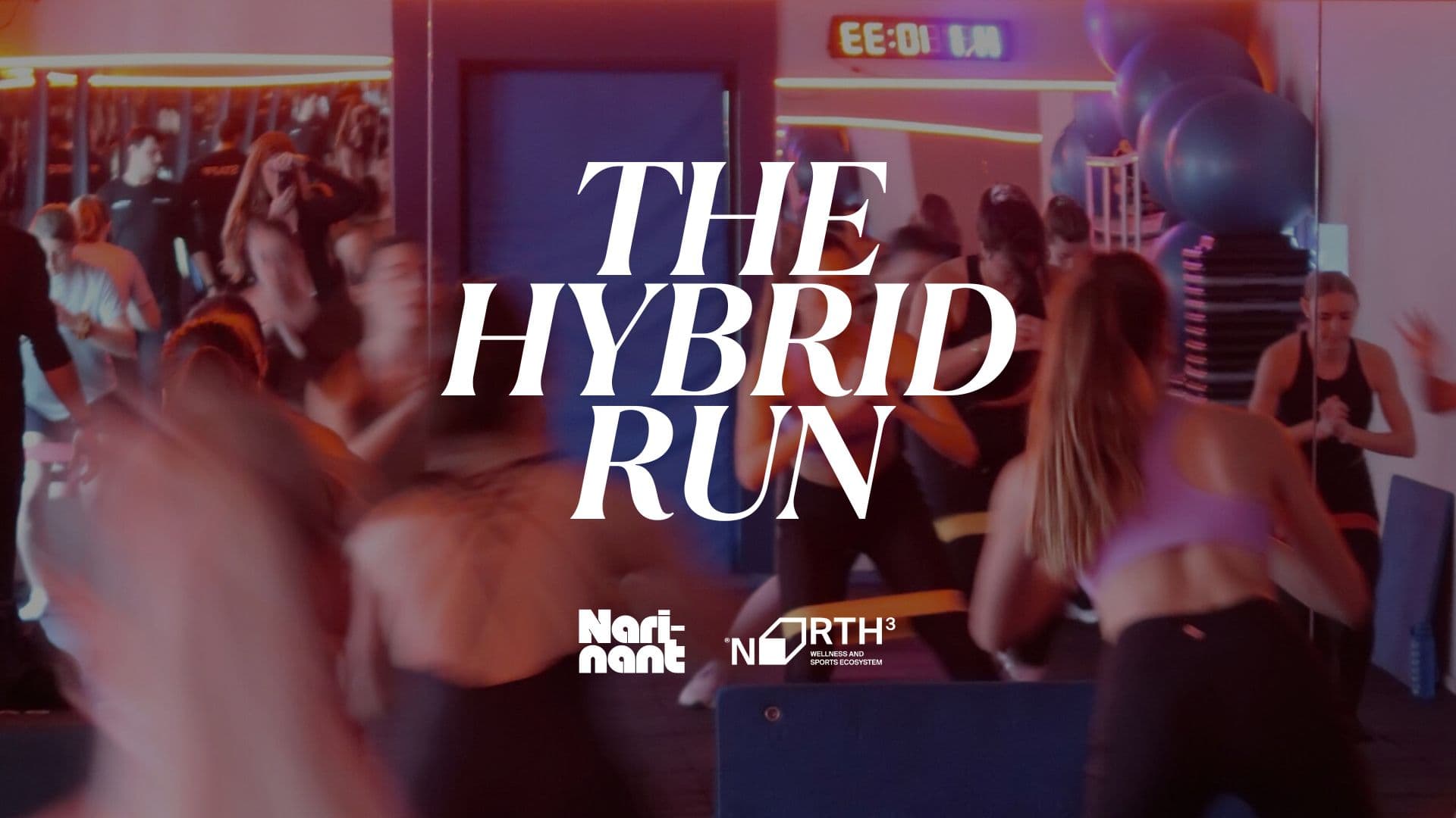THE HYBRID RUN cover image