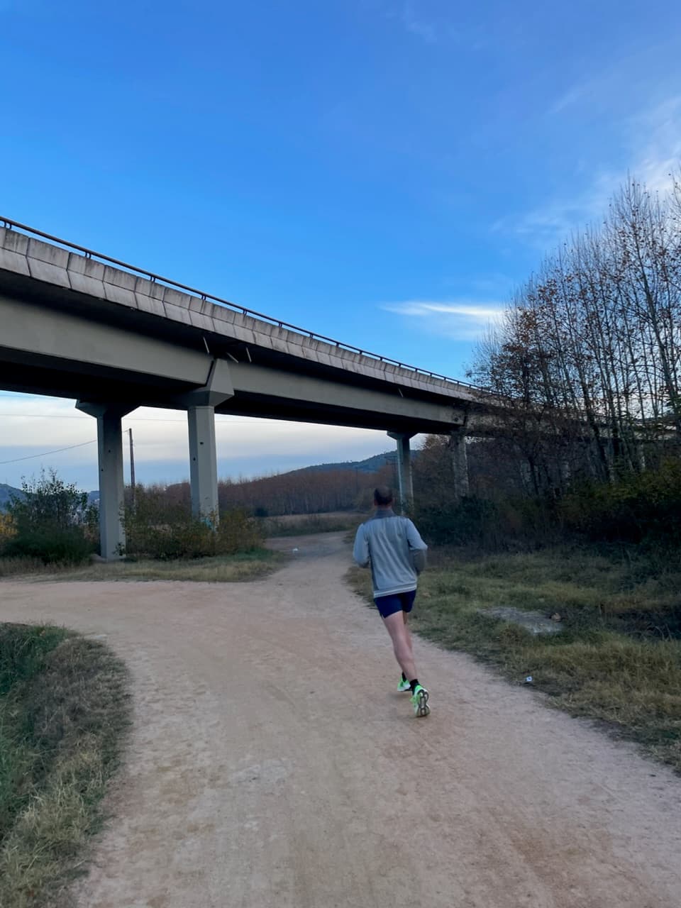 Bon Pastor Run cover image