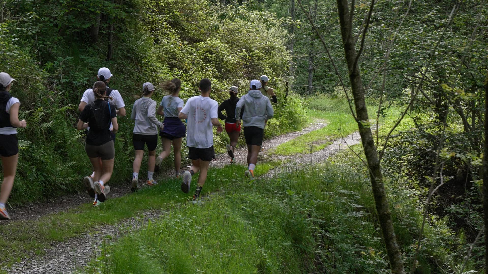 CRI CRI TRAIL - WINTER STAGE (del 2 al 5 de enero) cover image