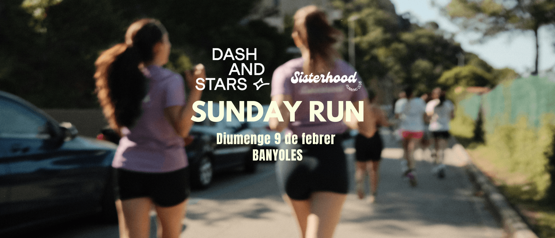 DASH AND STARS RUN cover image
