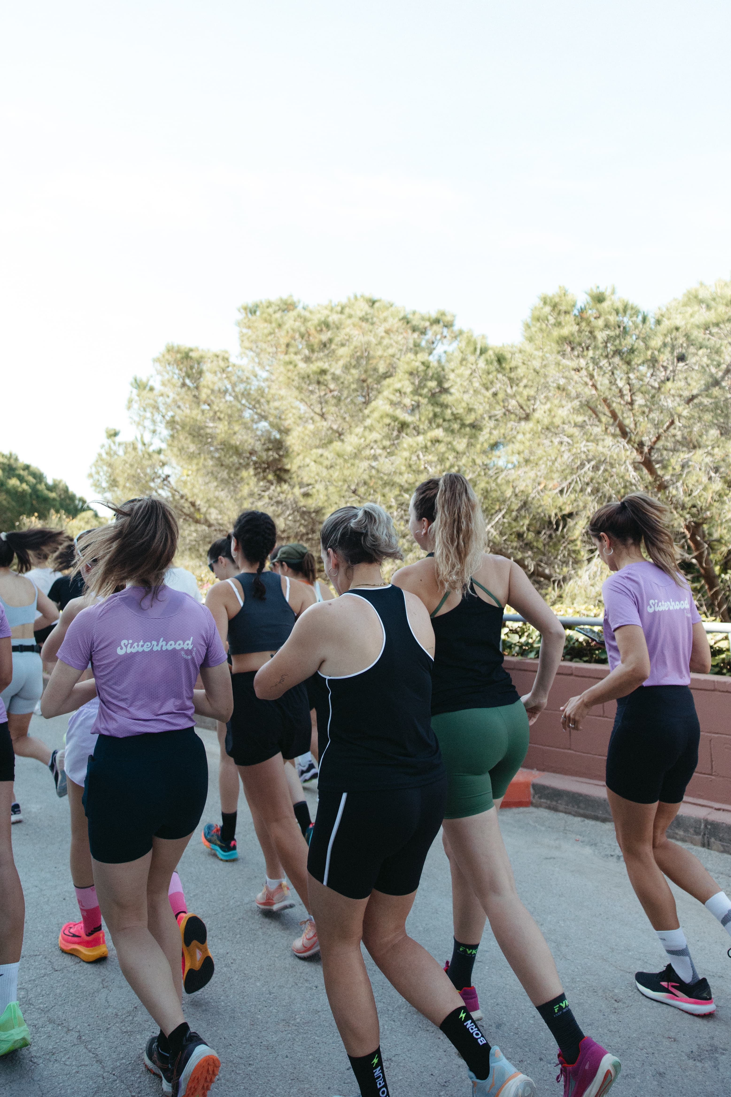 Els dimecres amb Sisterhood cover image