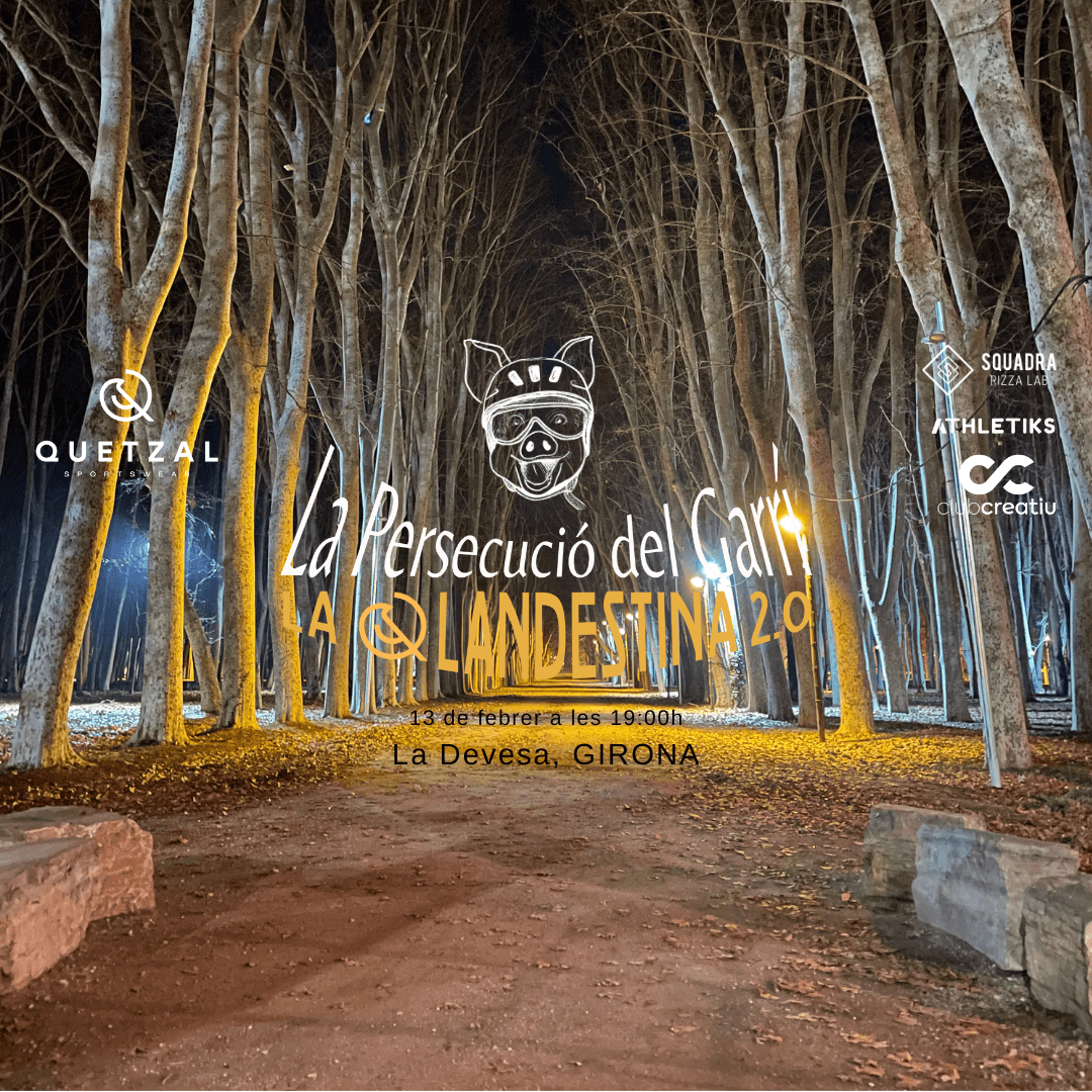 La Qlandestina 2.0: La Persecució del Garrí cover image