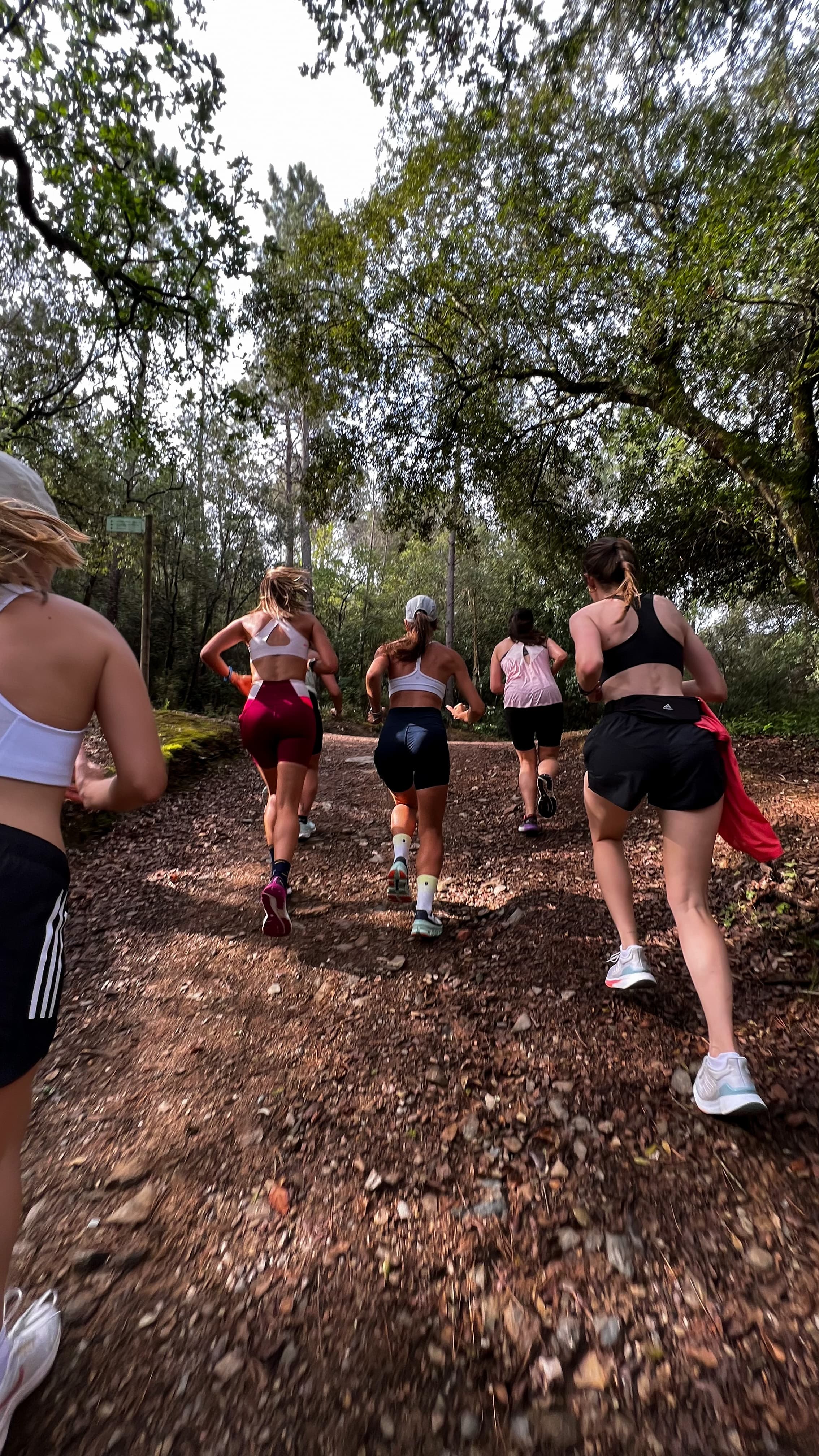 Primer Sisterhood Trail cover image