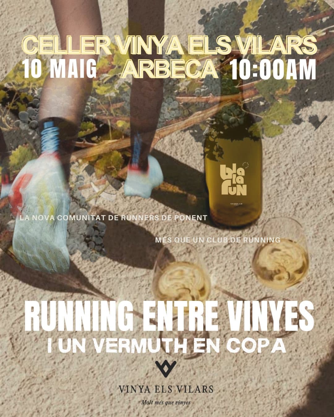 RUNNING ENTRE VINYES - BlablaRun x VinyesElsVilars cover image