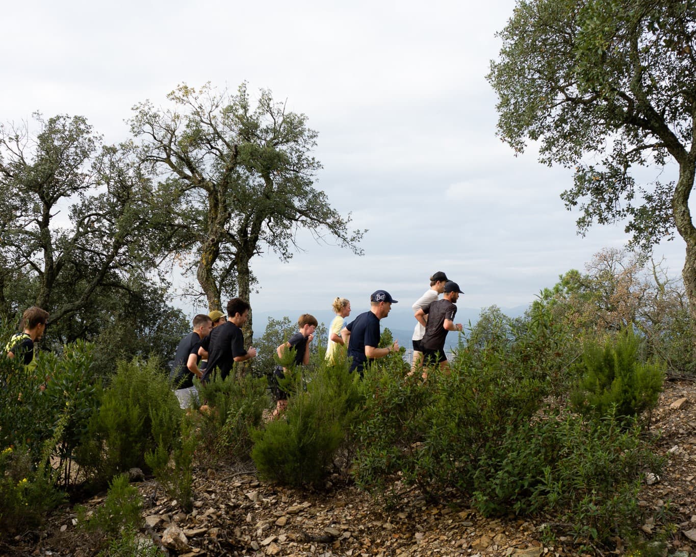 SHAKEOUT X TRANSGAVARRES cover image