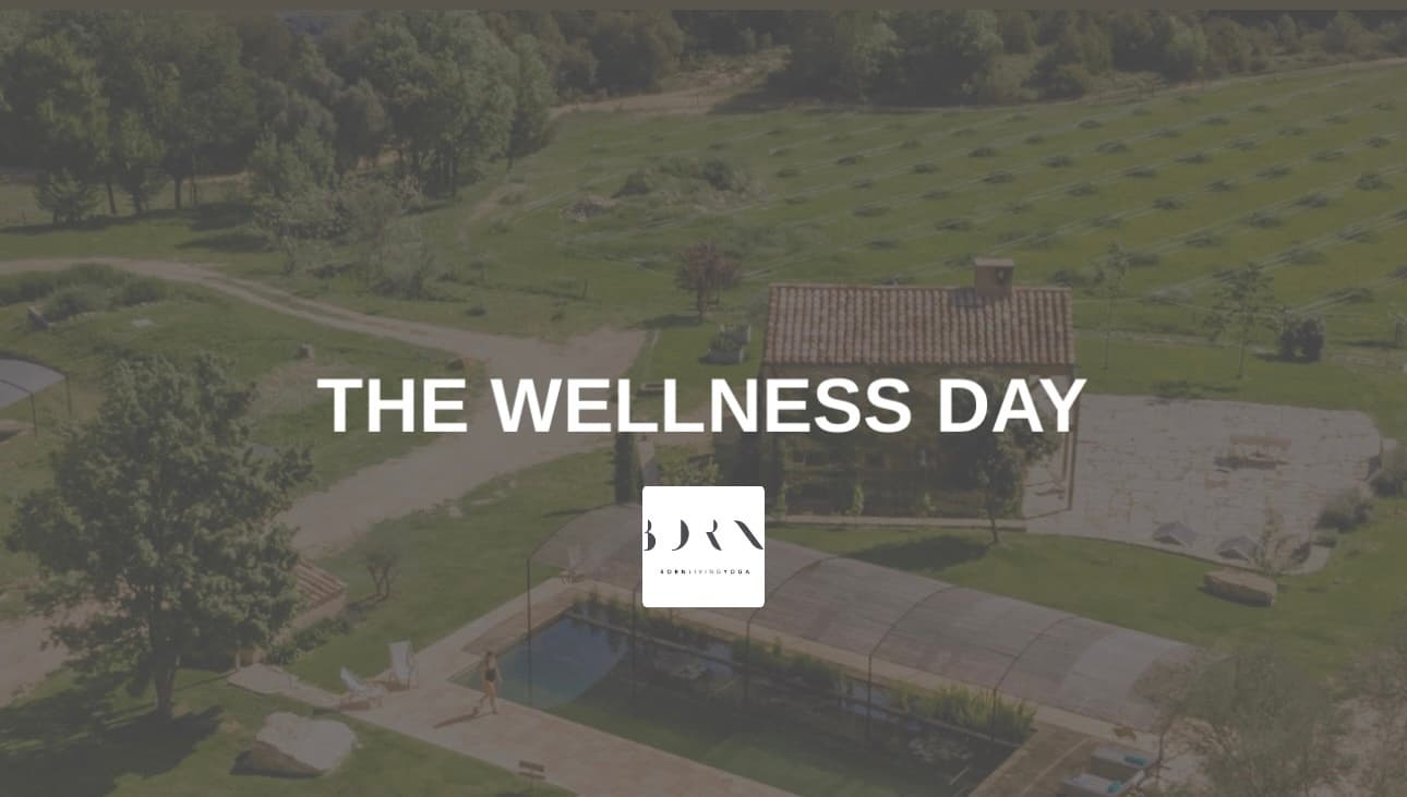 The wellness day cover image