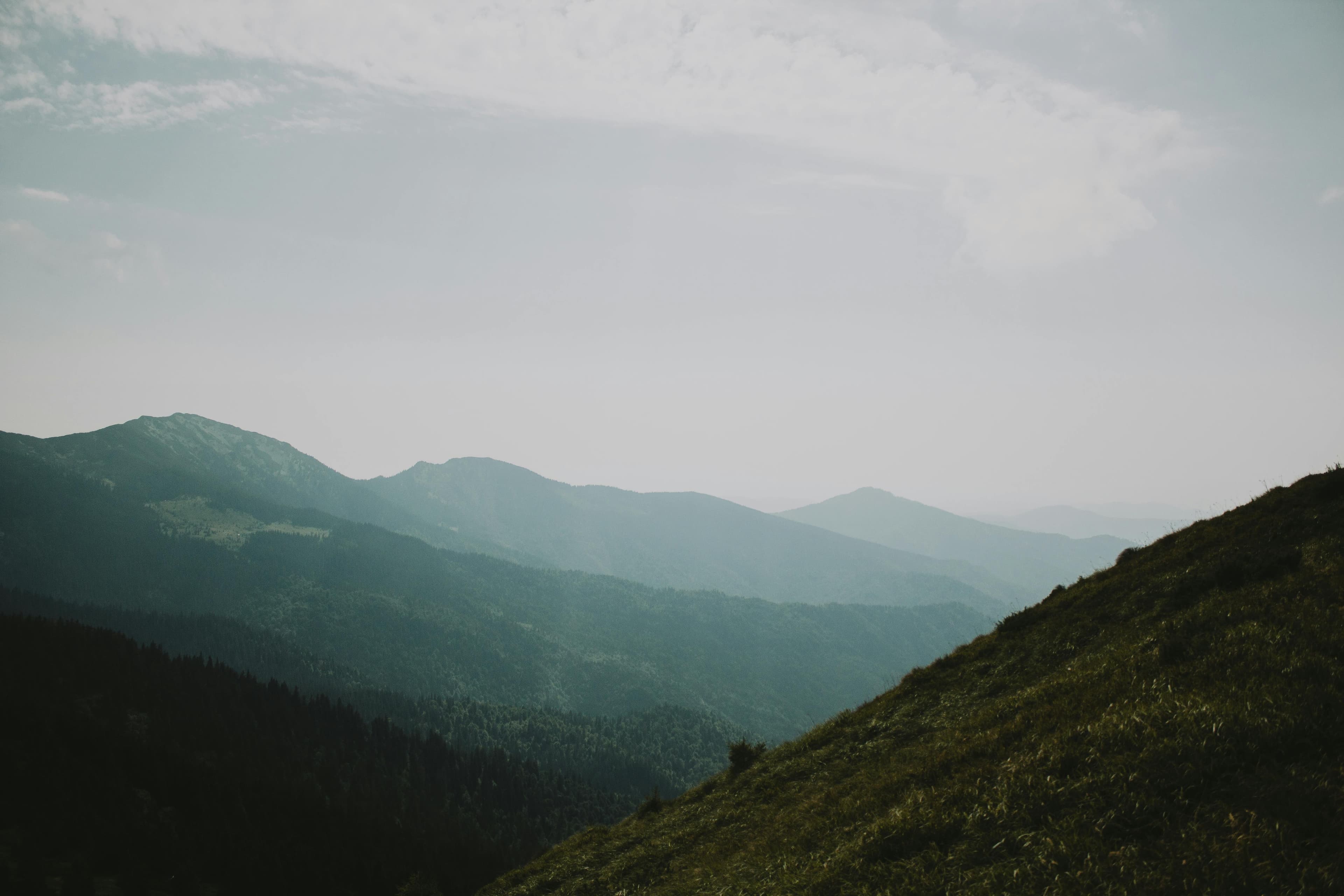 Turó de l'Home Trail Run cover image