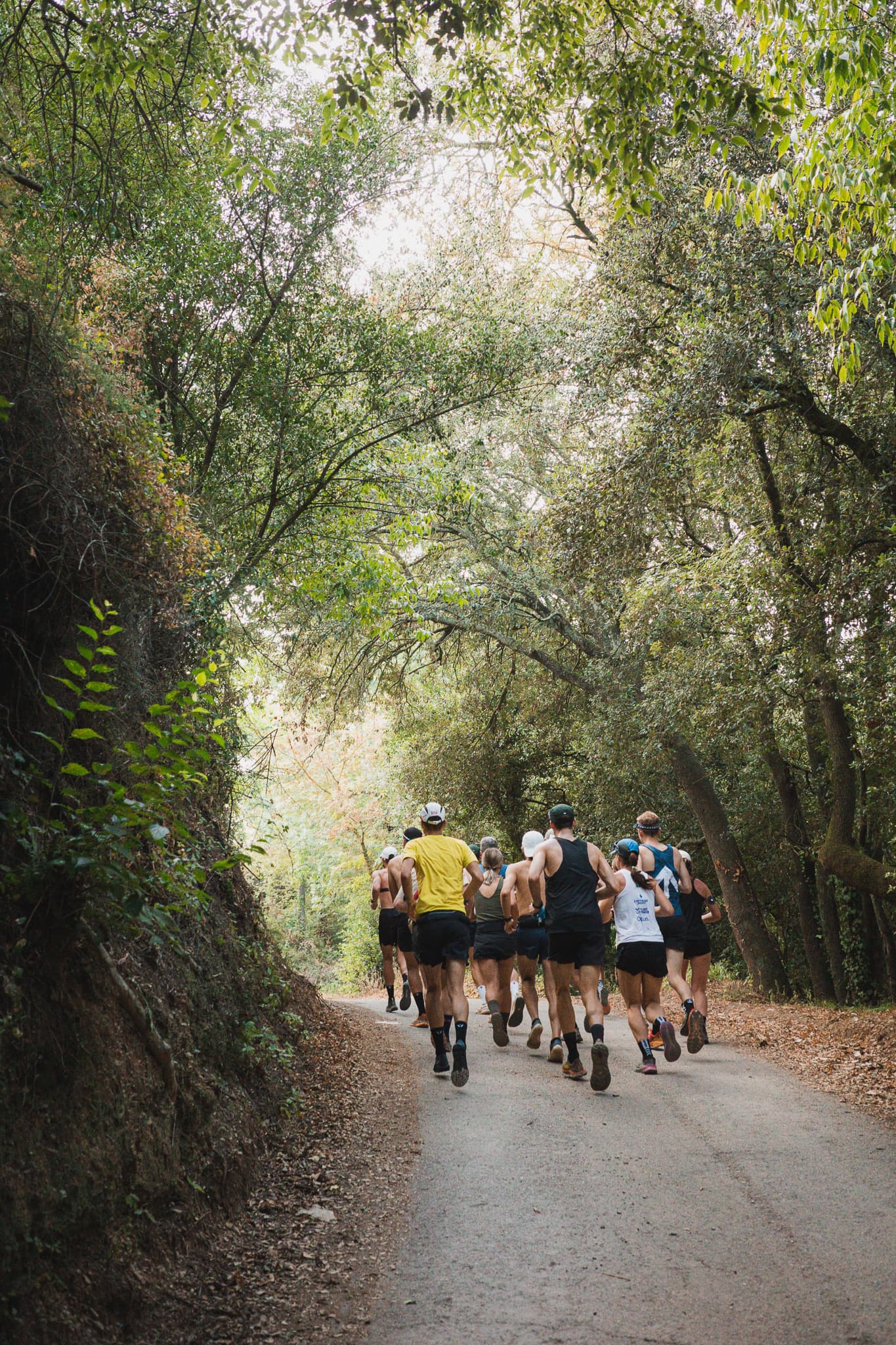 UPHILL WORKOUT cover image
