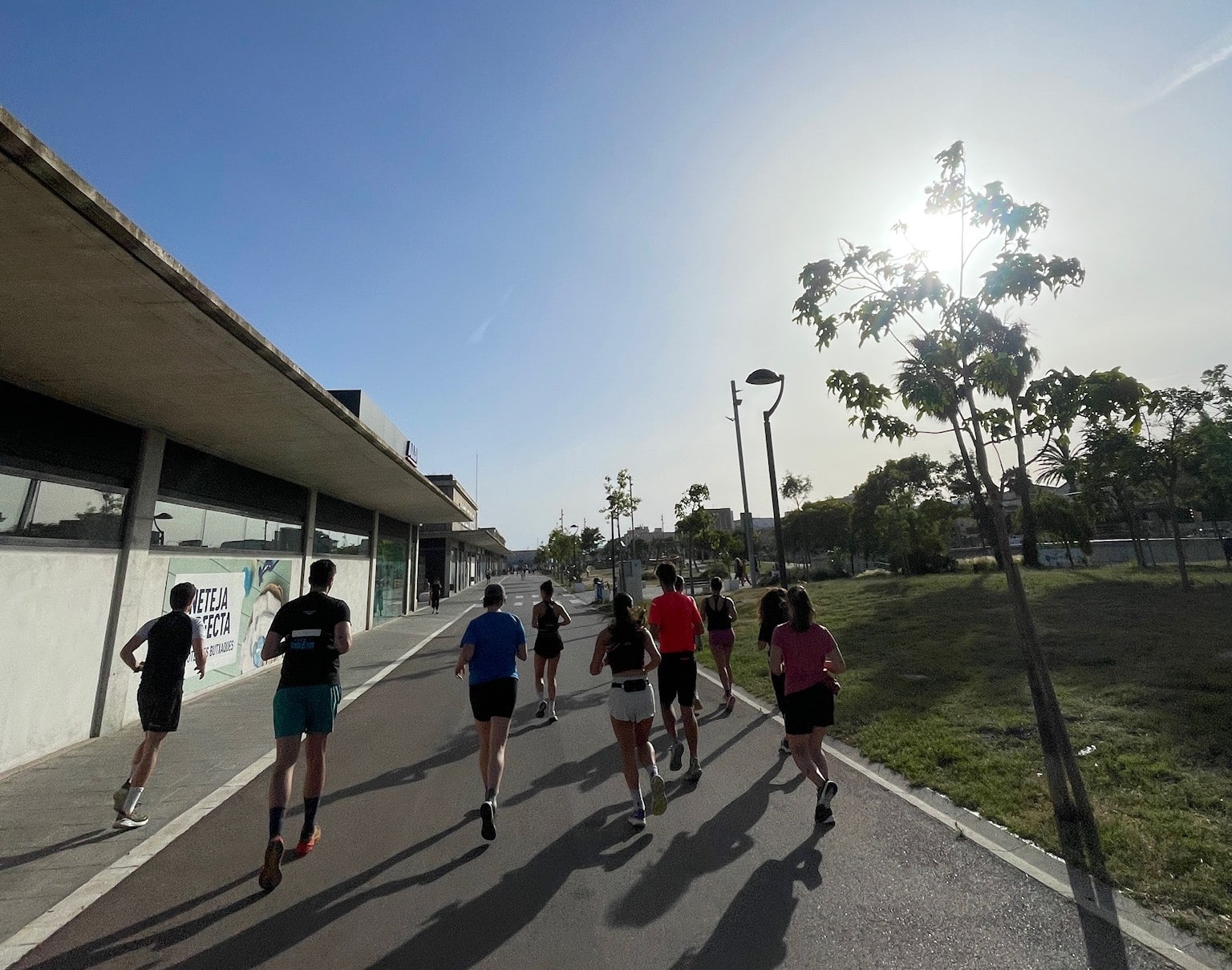 3 TO RUN cover image