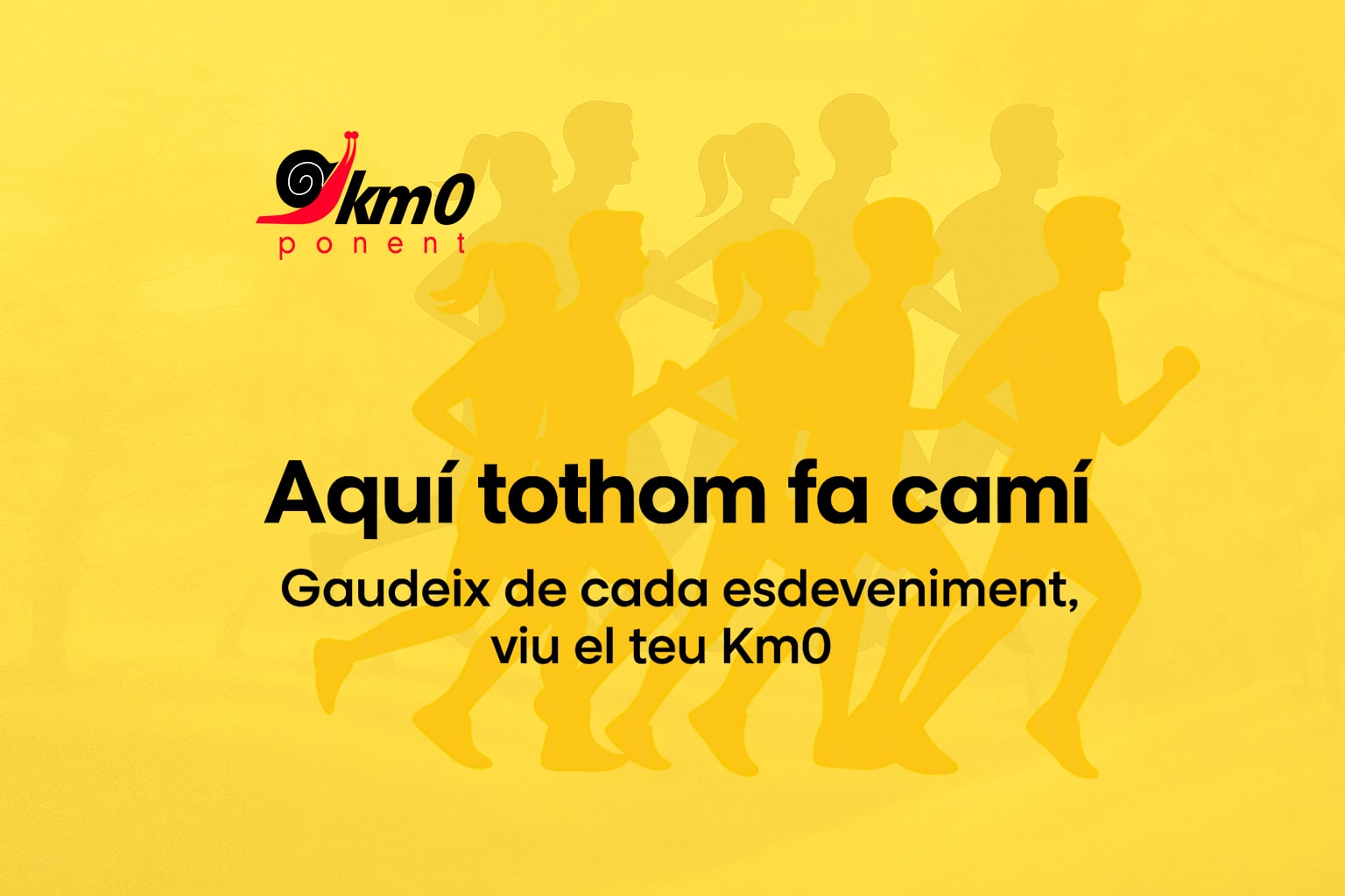 KM0 PONENT cover image