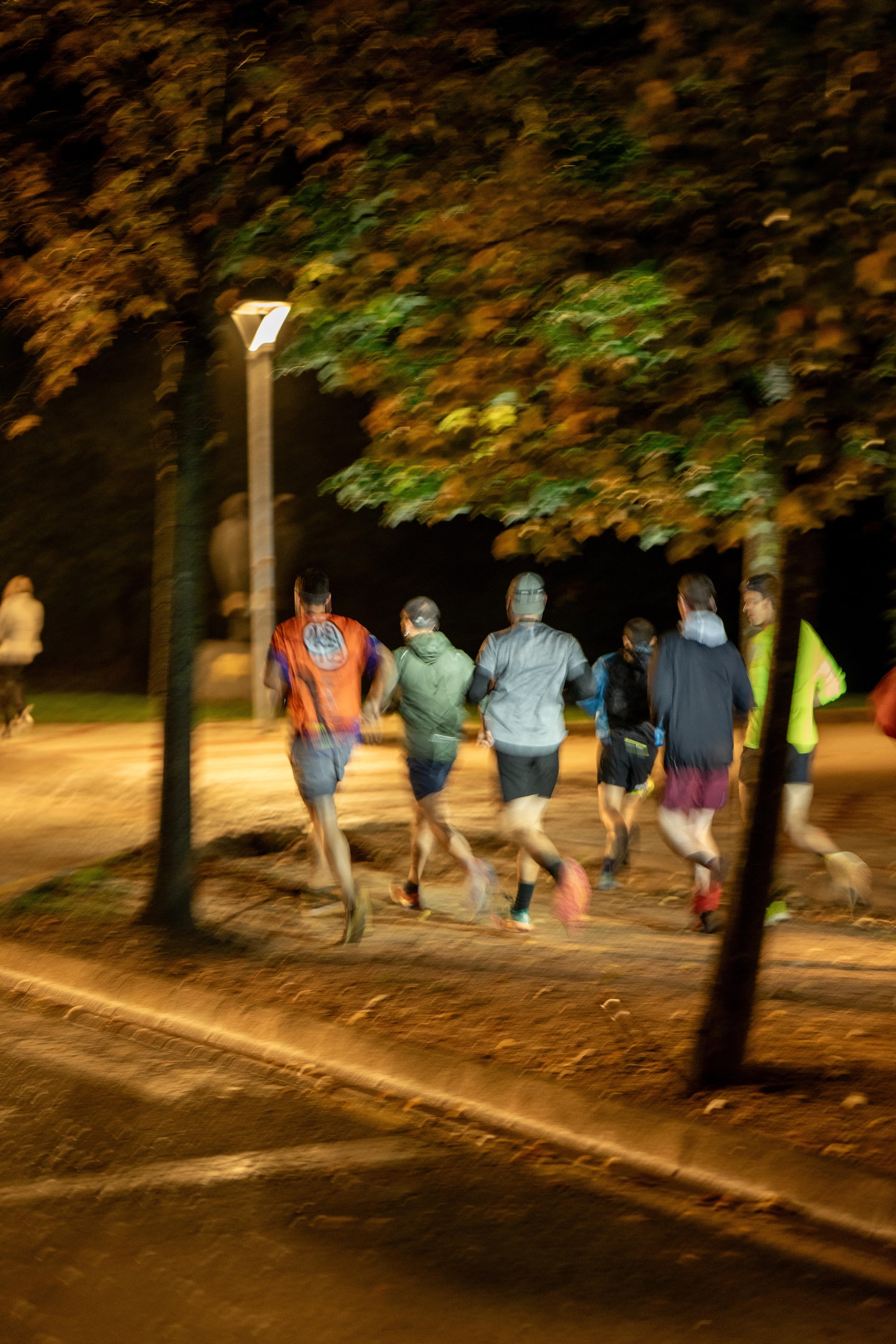 Pas a Pas cover image