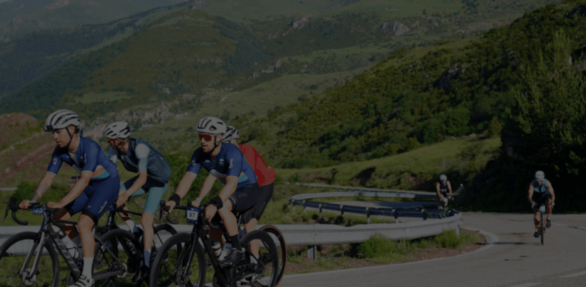 WHEELS & MEALS cover image